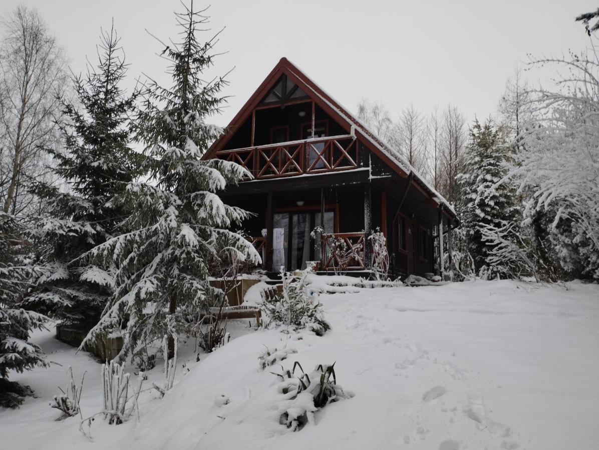 Garden House Nad Jeziorem Szelment Przejma Wielka Exterior foto