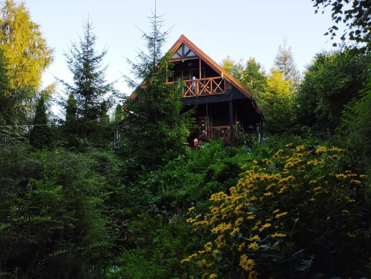 Garden House Nad Jeziorem Szelment Przejma Wielka Exterior foto